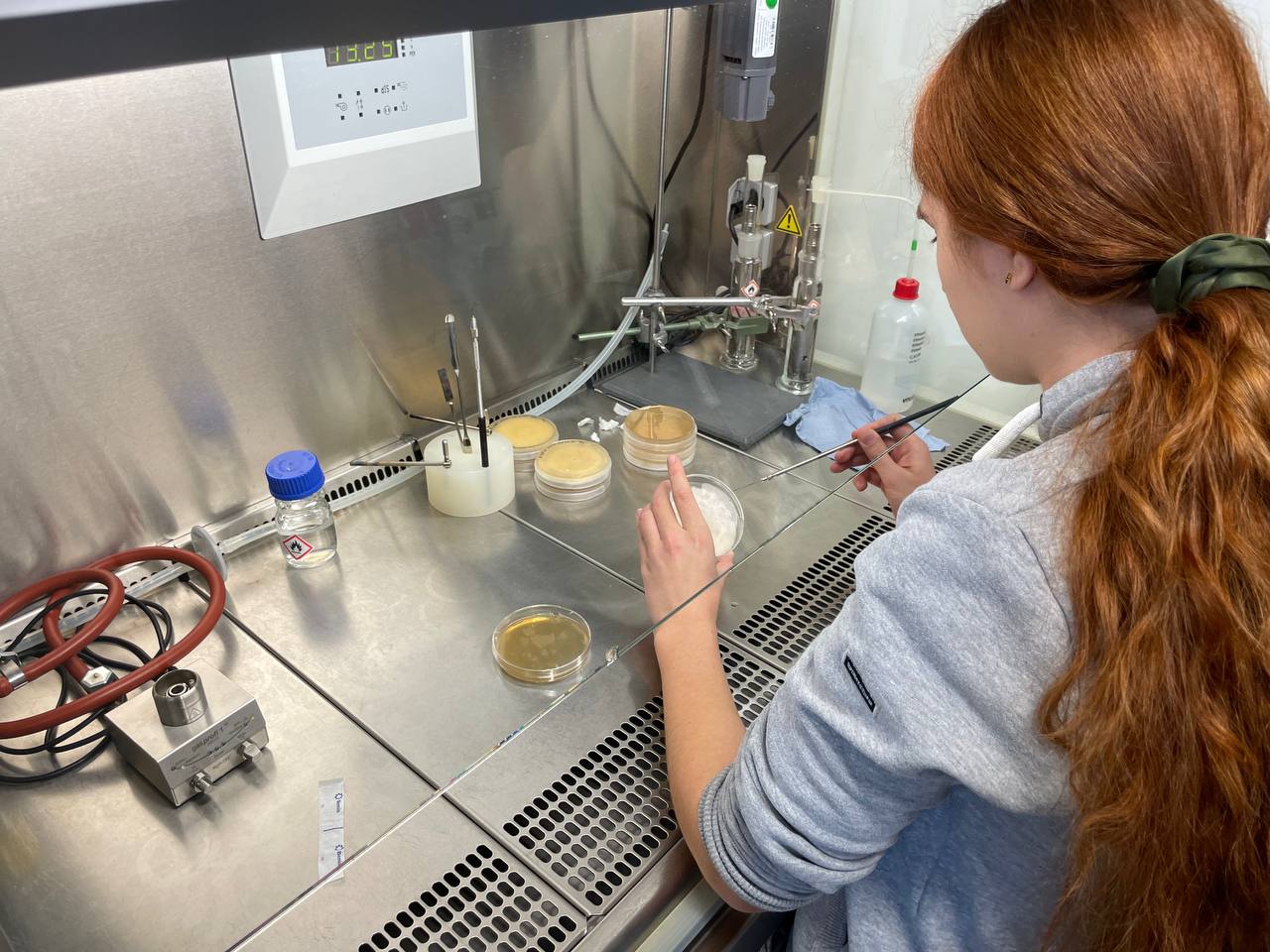 Eine Naturwissenschaft zum Anfassen – Ein praxisorientierter Streifzug durch die Welt der Chemie