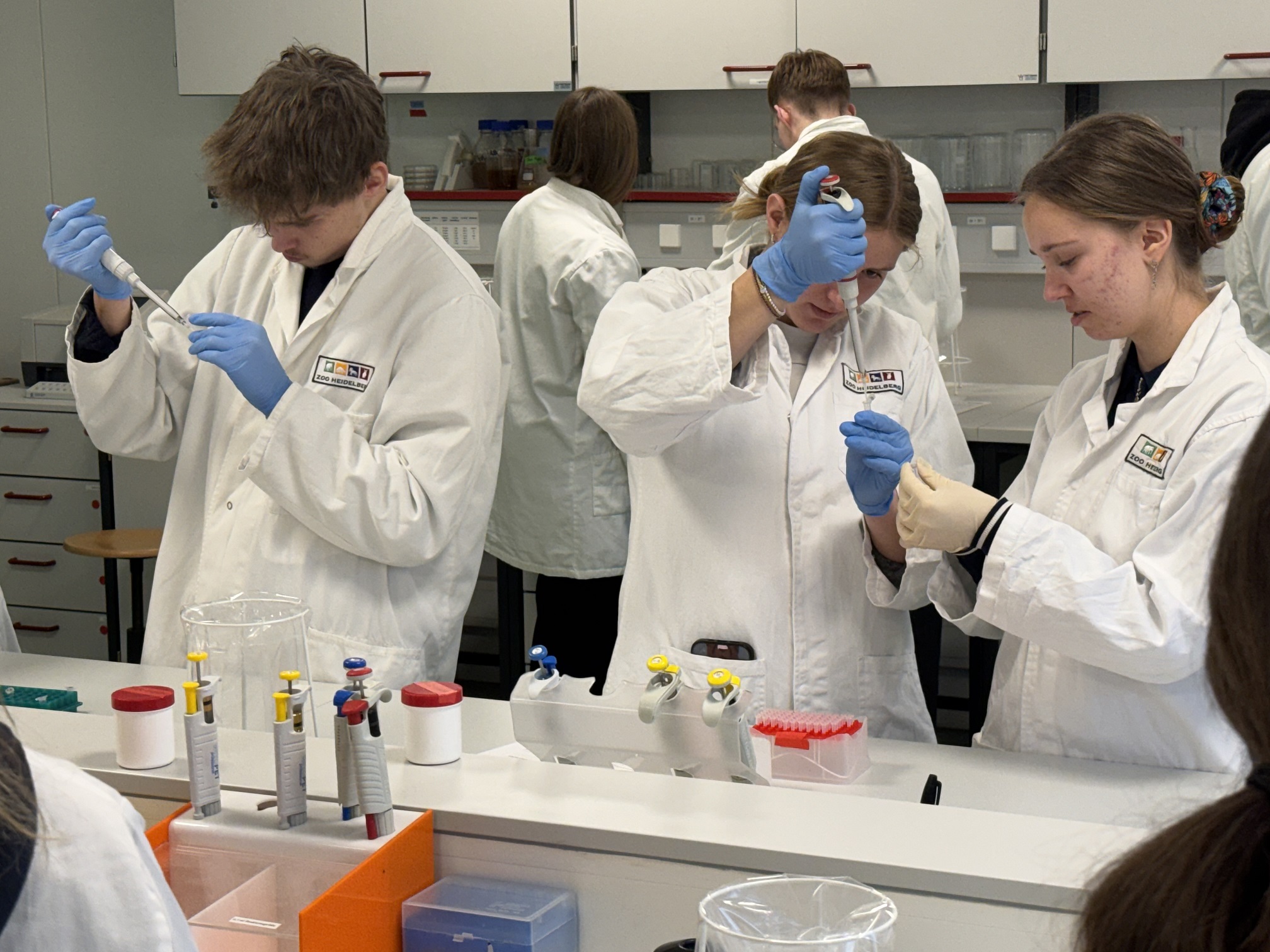 Lerngruppe bereitet Proben für die PCR vor